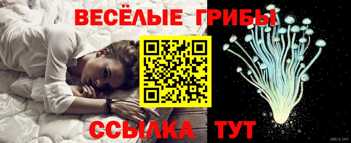 Губкин  Галлюциногенные грибы Psilocybe  как найти закладки  Галлюциногенные грибы Magic Shrooms  Вход с VPN 